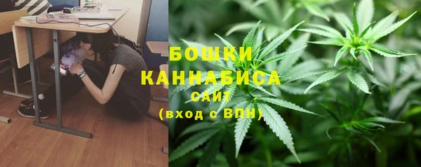 стаф Богородицк