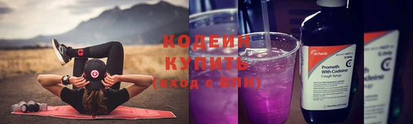 мяу мяу мука Белокуриха