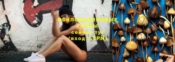 мяу мяу мука Белокуриха