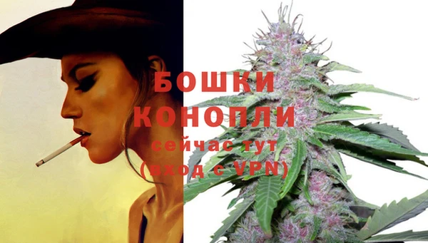 мяу мяу мука Белокуриха